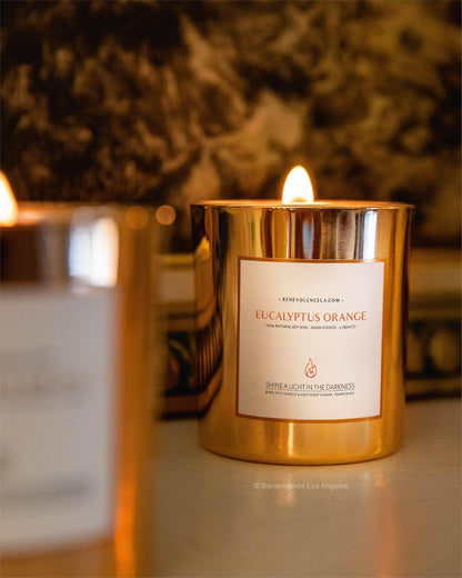 Premium Eucalyptus Orange Scented Candle – Long-Lasting, 45-Hour Burn – Luxury Natural Soy Wood Wick Candle for Home – Aromatherapy & Room Decor – 8Oz